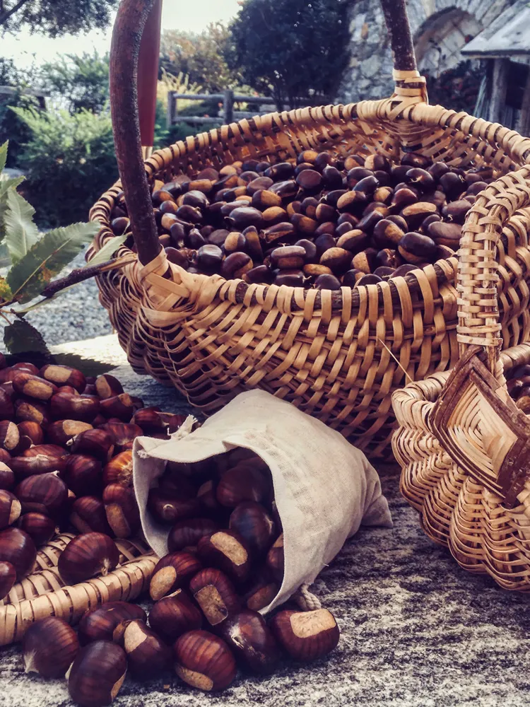 Produzione e bottega